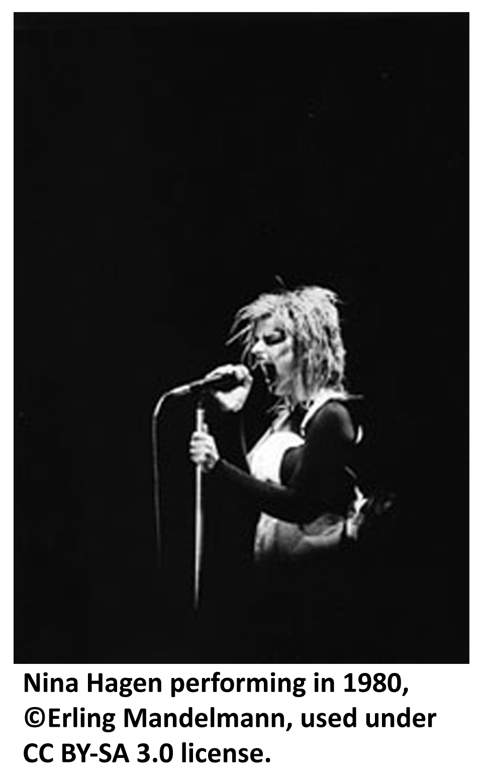 Photo of Nina Hagen performing in 1980