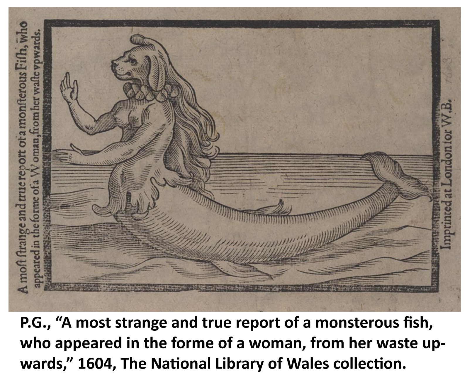 Pamphlet print of a mermaid from 1604